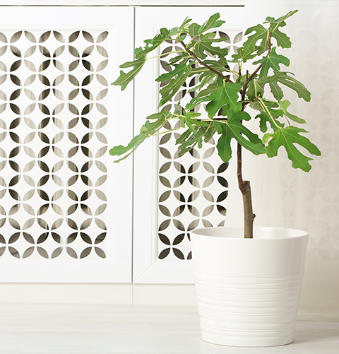 لوحة واحدة من الألومنيوم